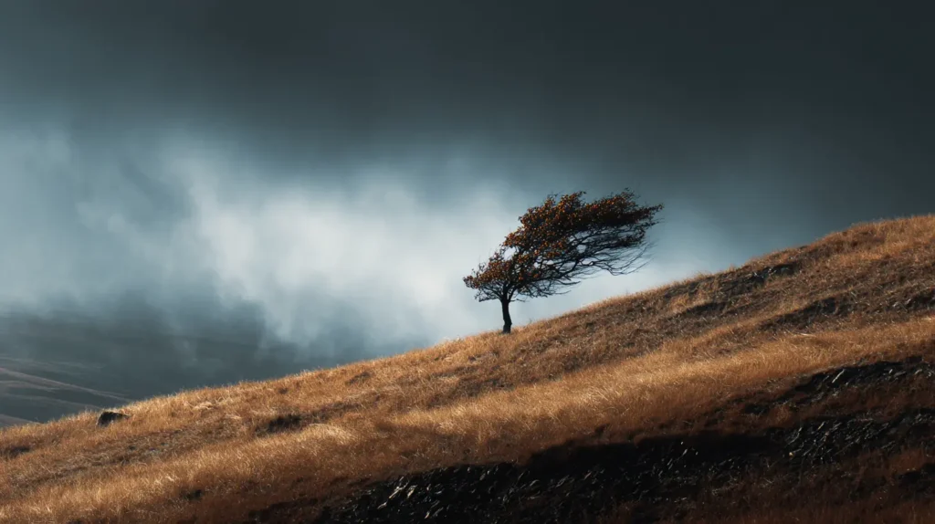 Grenzen stellen zoals een boom in de wind - gebogen maar geworteld, flexibel maar niet gebroken